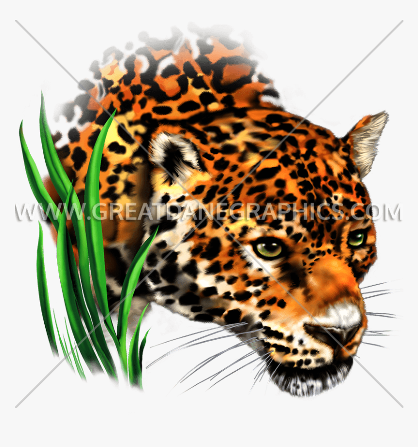 Leopard Football Cliparts Making - Clip Art, HD Png Download