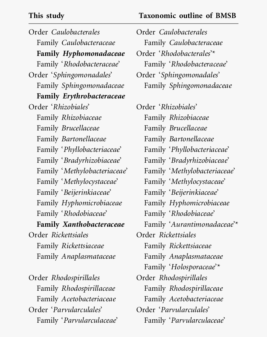 Document, HD Png Download