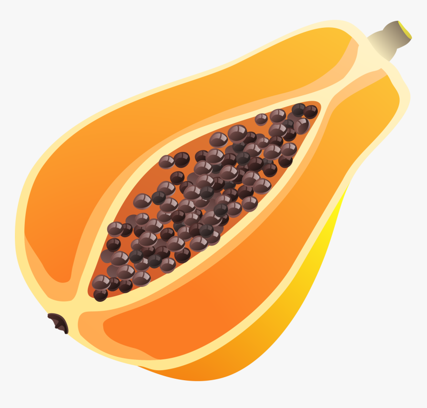 Transparent Papaya Clipart - Orange Papaya Fruit Cartoon, HD Png Download