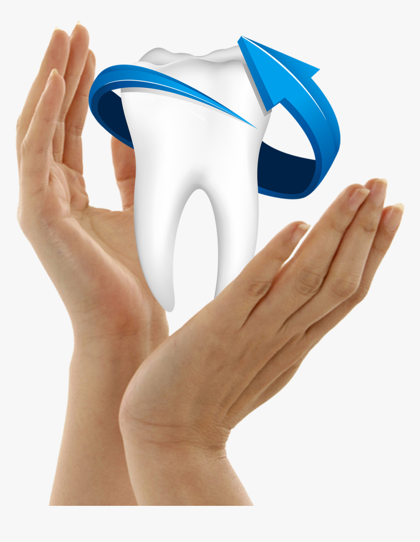 Transparent Hand Holding Something Png - Single Teeth Png, Png Download
