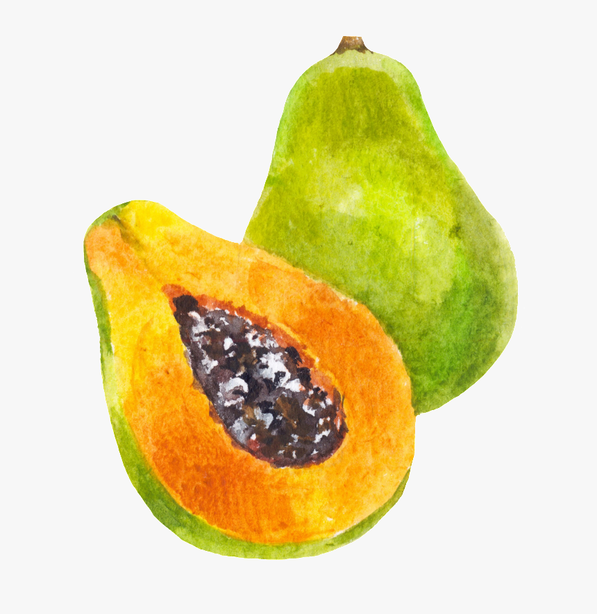 Hand Painted A Half Papaya Png Transparent - Portable Network Graphics, Png Download