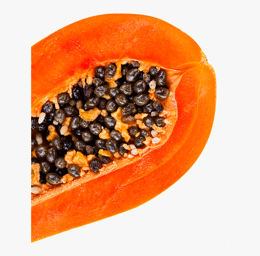 Papaya, HD Png Download