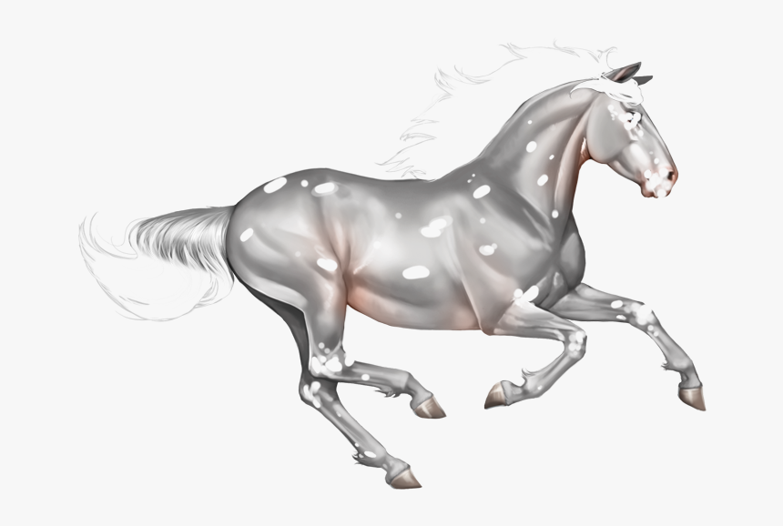 Horse Transparent Image Gold, HD Png Download
