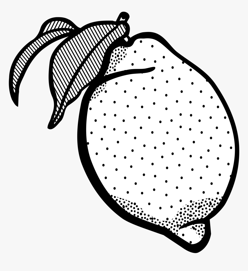 Lemon Black And White, HD Png Download