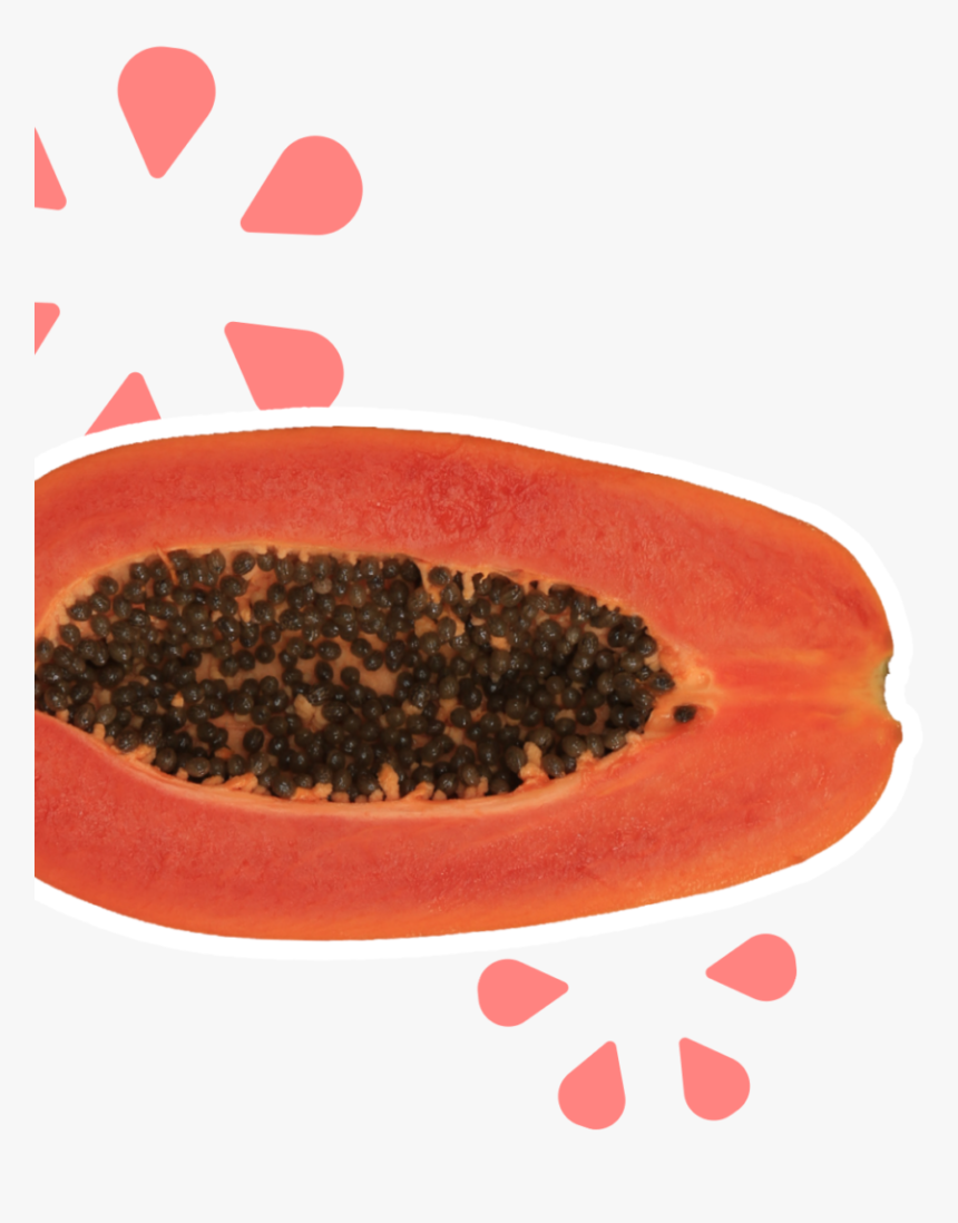 Papaya, HD Png Download