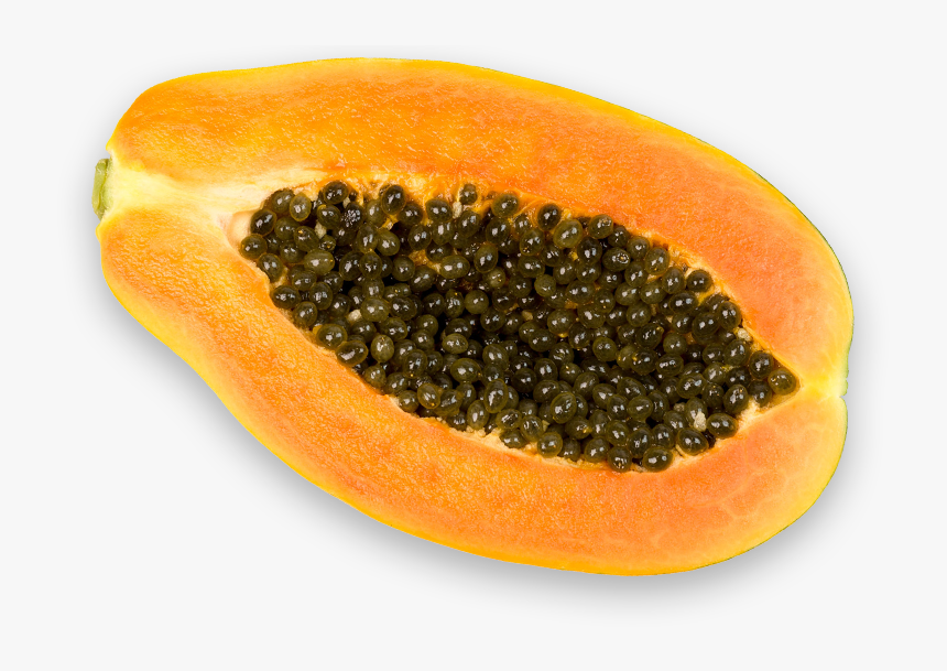 Papaya, HD Png Download