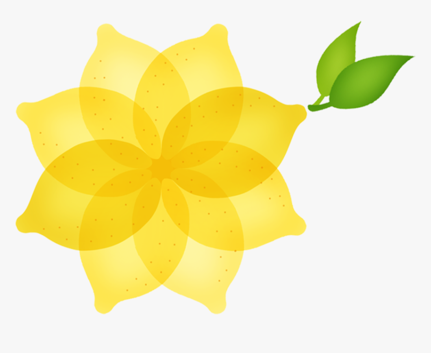 Transparent Lemon Slice Clipart - Still Life Photography, HD Png Download