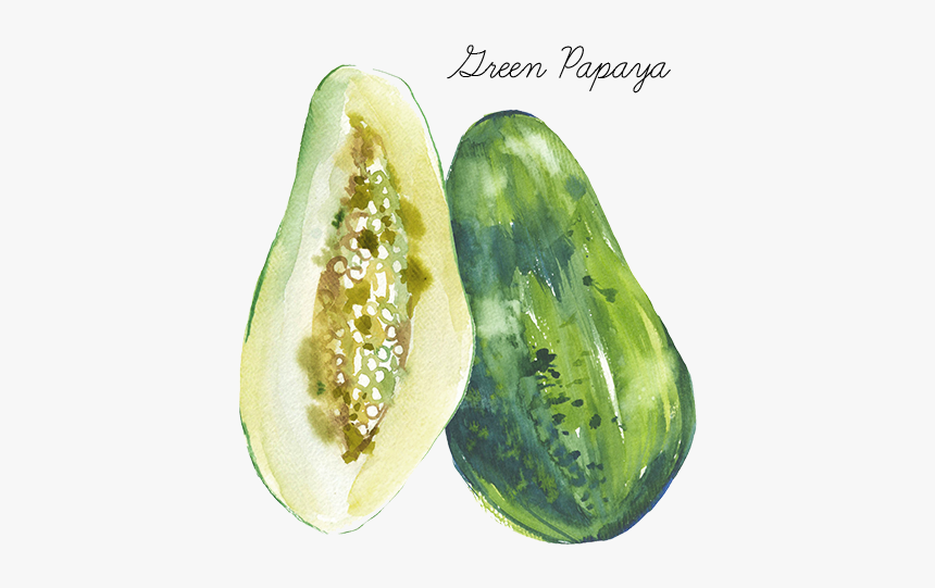 Green Papaya - Gourd, HD Png Download