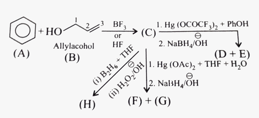 Hydroboration Oxidation Reaction Class 12, HD Png Download