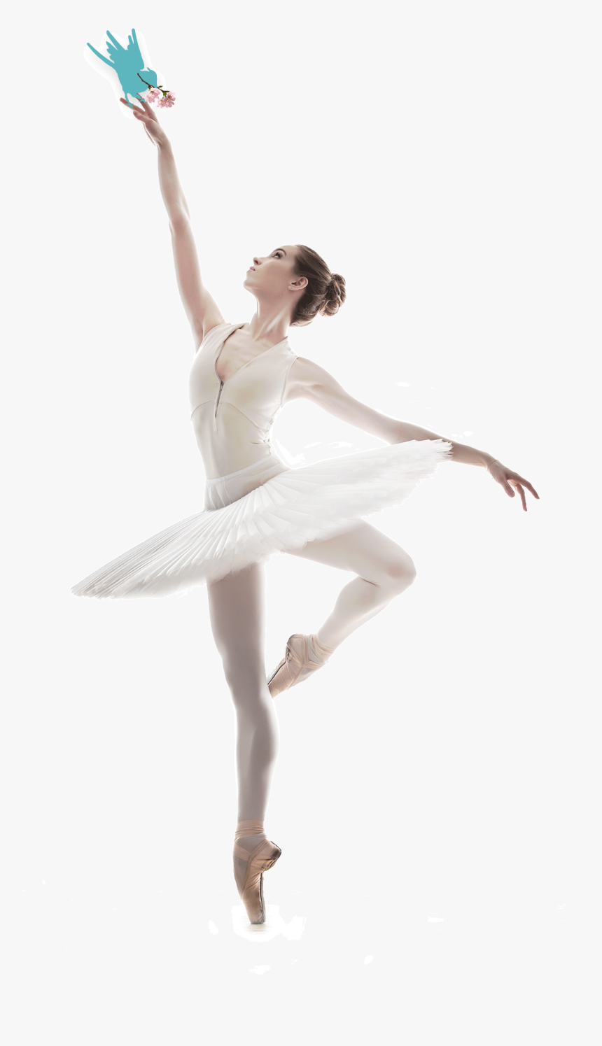 Ballet Dancer Png Picture - Classique Photo De Danse, Transparent Png