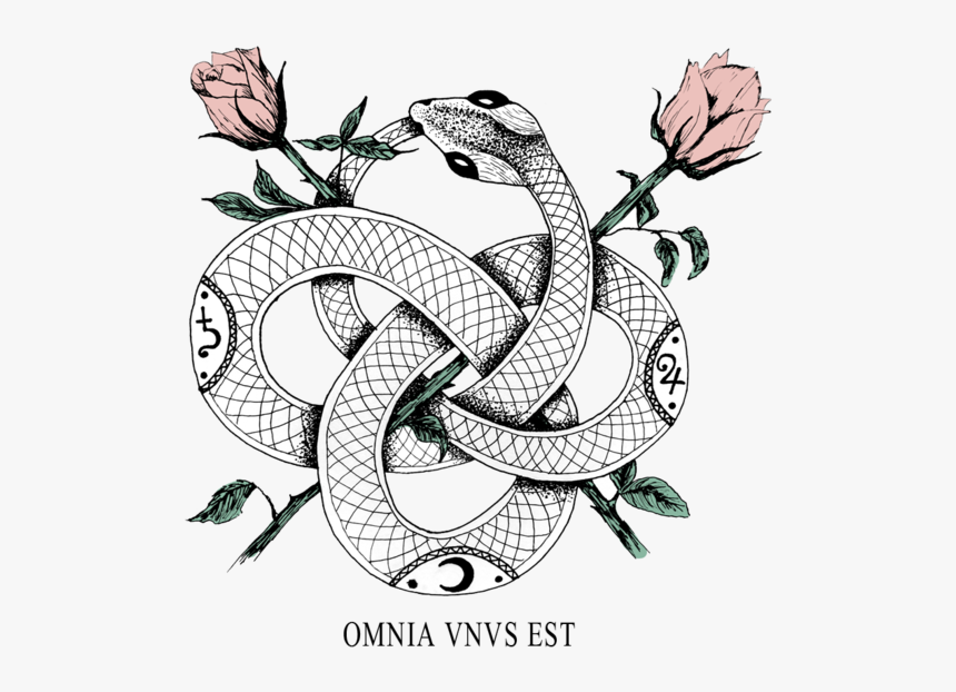 Omnia Vnvs Est, HD Png Download