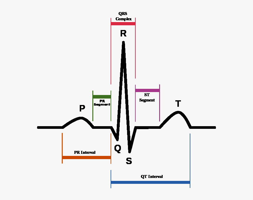 Qrs-complex - Qrs Ecg, HD Png Download