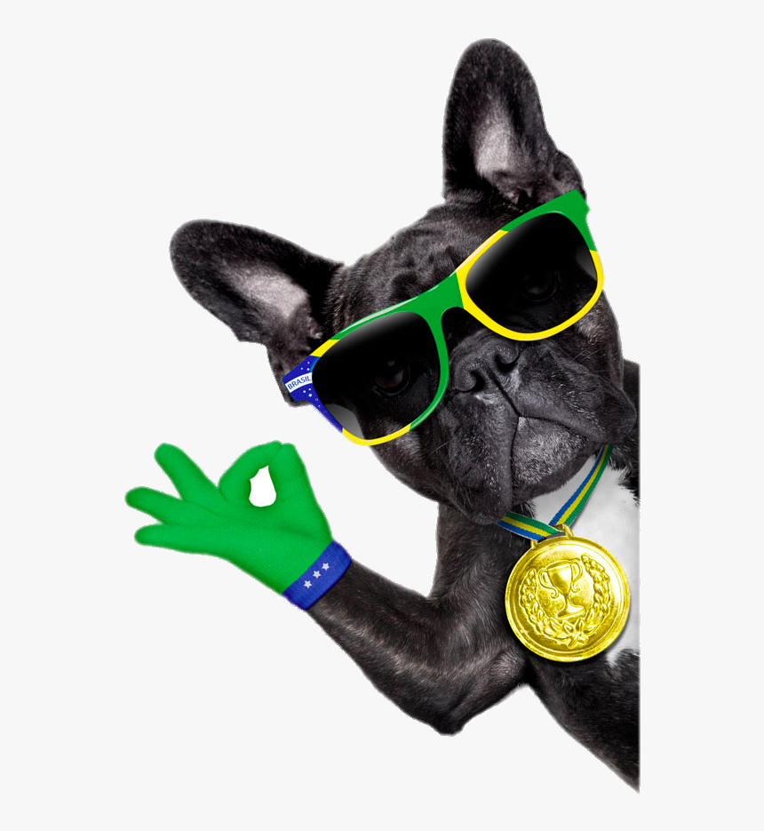 Sunglasses Bulldog Photography Dog French Royalty-free - Brazil Soccer Dog, HD Png Download