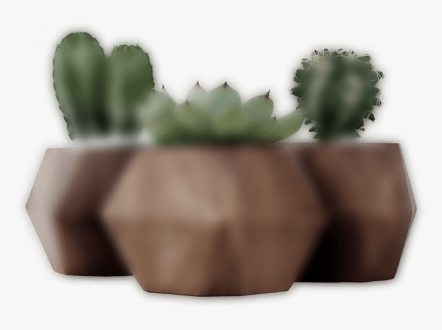 Hedgehog Cactus, HD Png Download