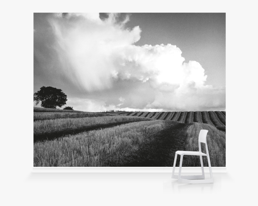 Black And White Photos Large, HD Png Download