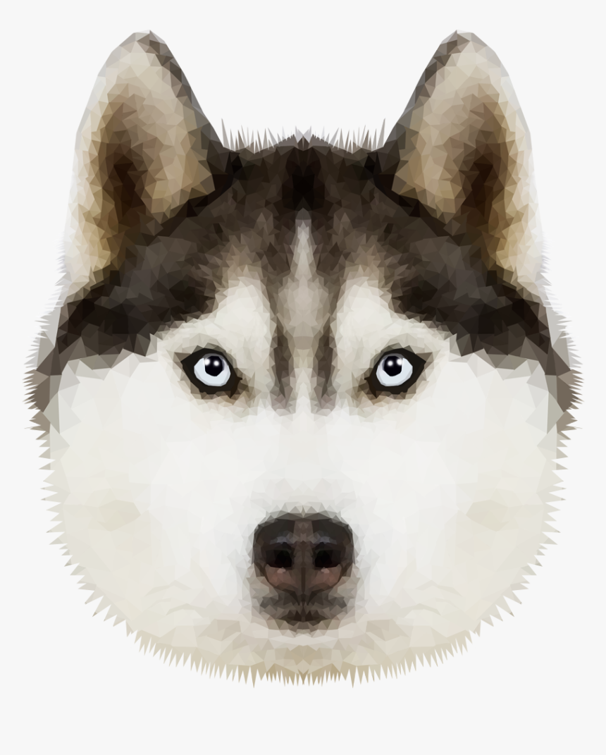 Download Husky Png Transparent Image For Designing - Husky Clipart With Transparent Background, Png Download