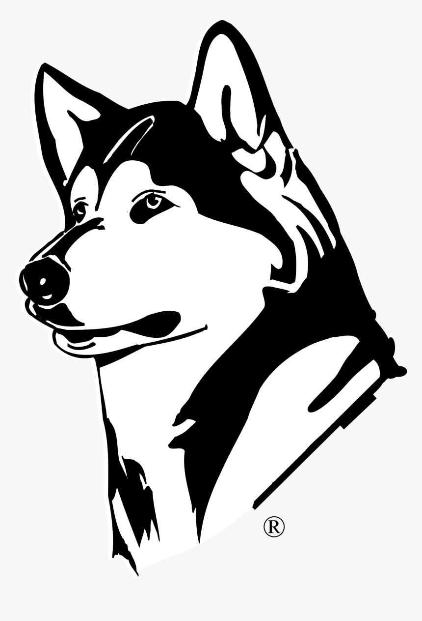 Husky Png - Washington Huskies, Transparent Png