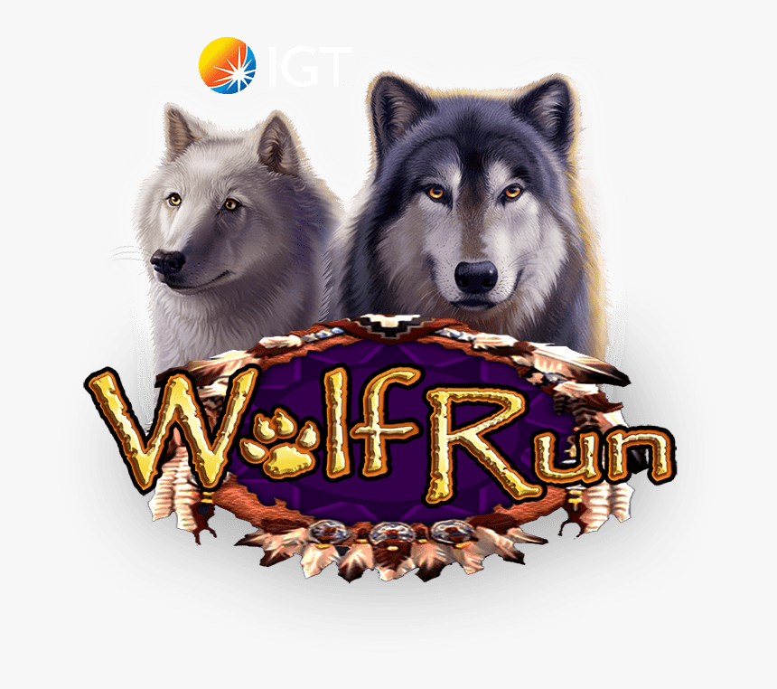 Mackenzie River Husky - International Game Technology, HD Png Download