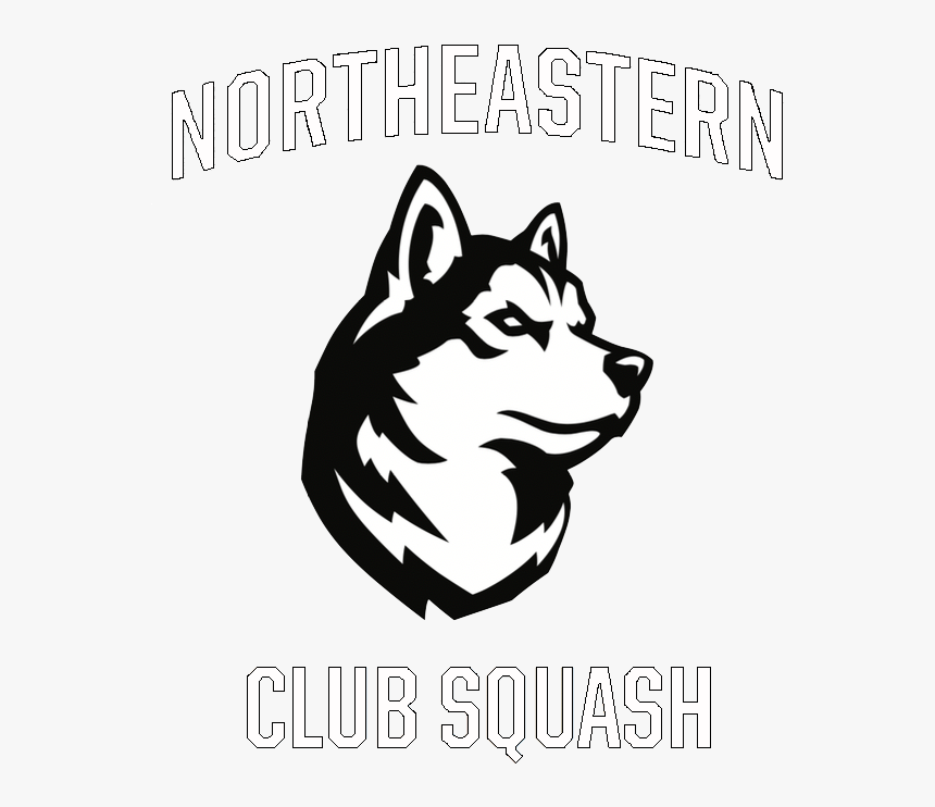 Nu Squash - Northeastern University Husky Logo, HD Png Download