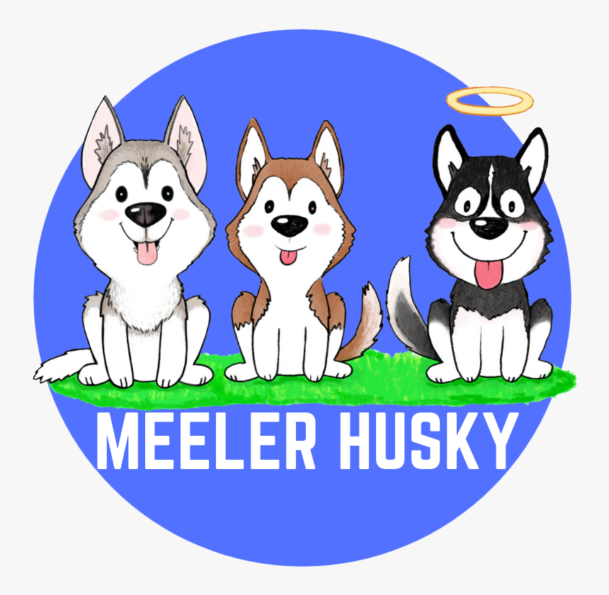 Justin Bieber 2012 Boyfriend, HD Png Download