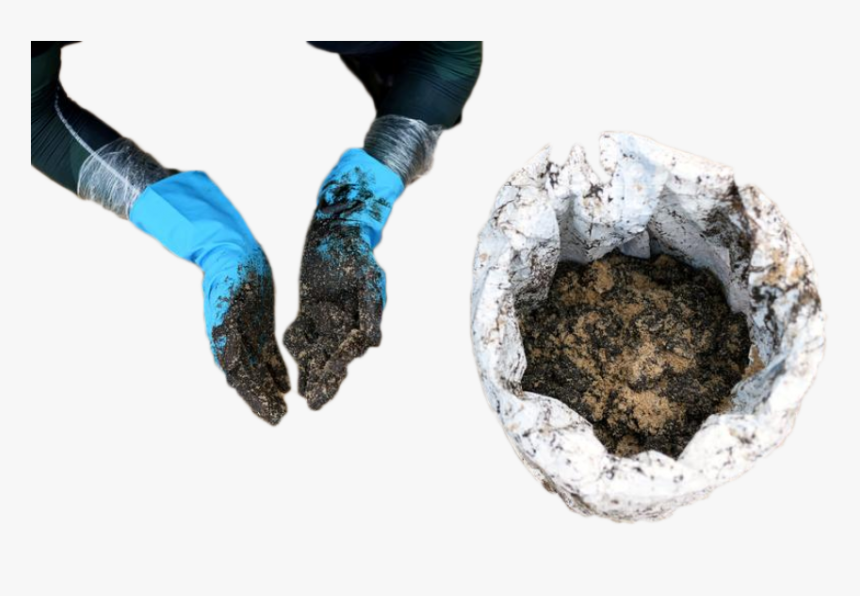 Snow, HD Png Download