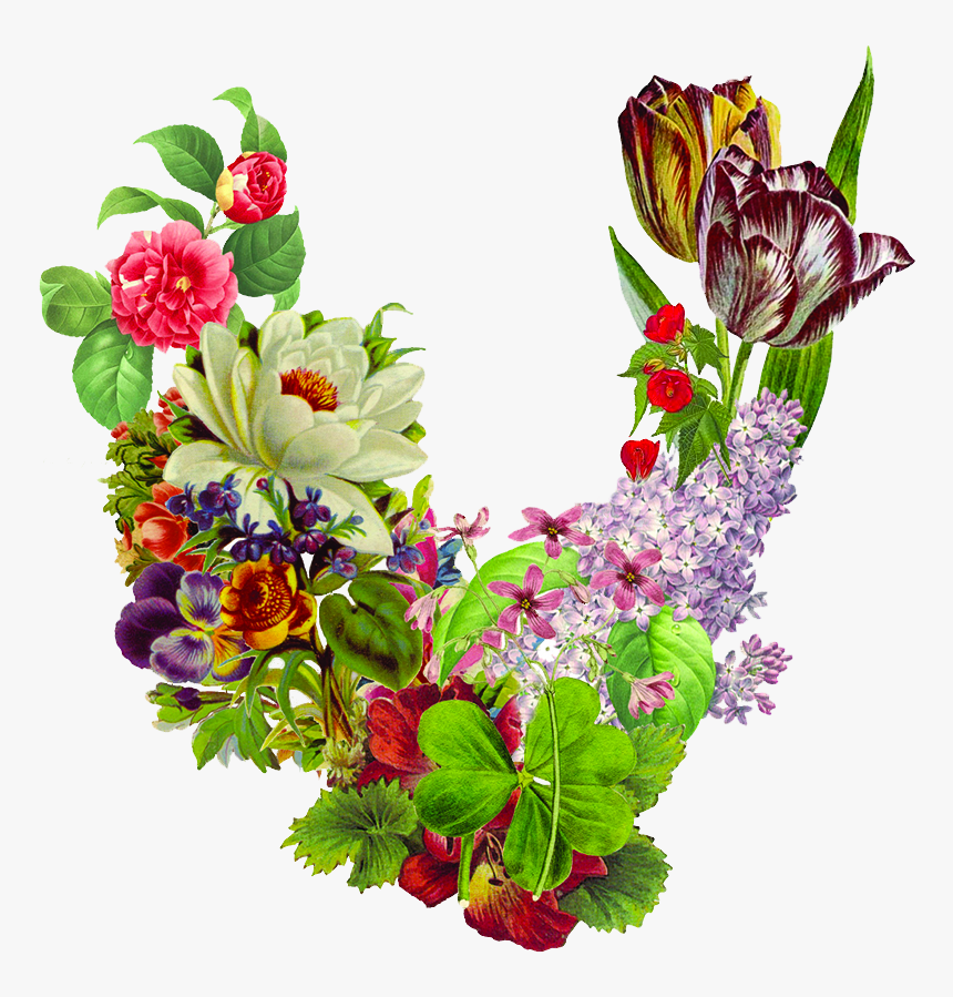 Valerie Julian - Bouquet, HD Png Download