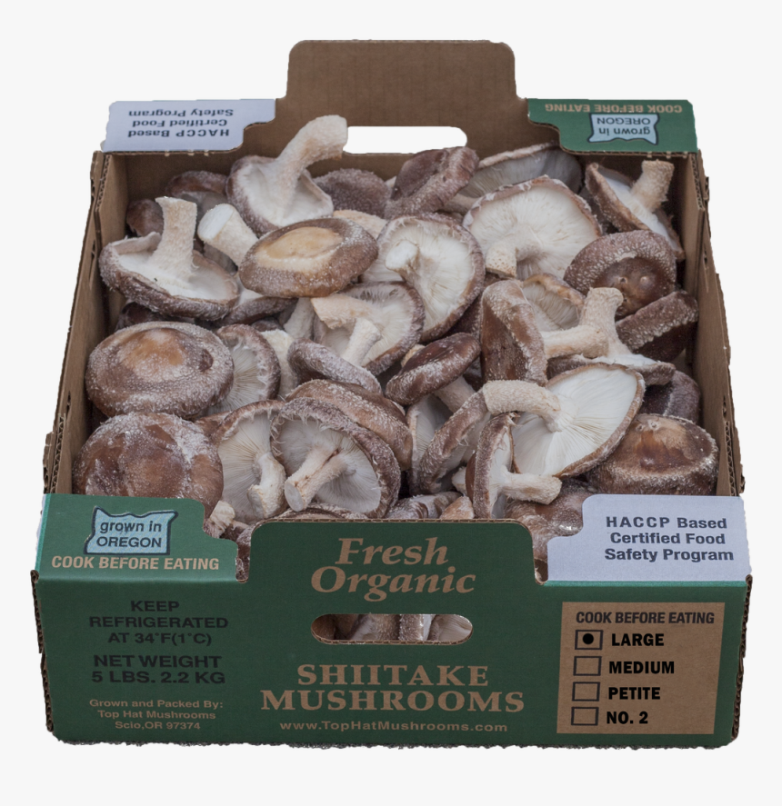 Shiitake, HD Png Download