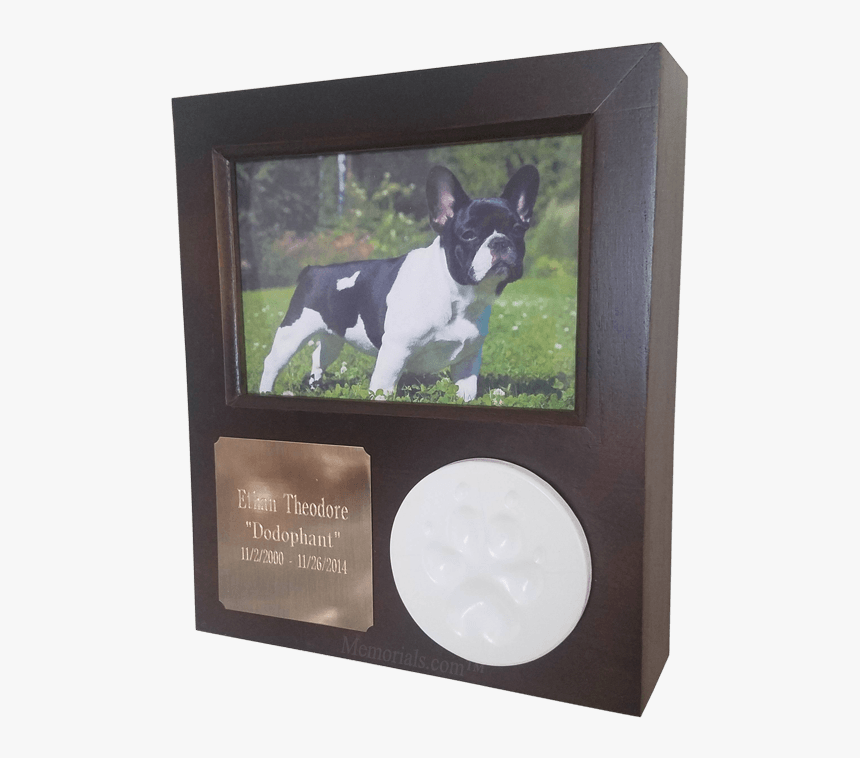 Picture Frame, HD Png Download