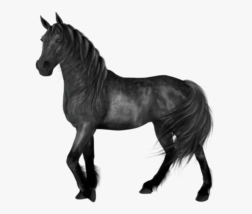 Black Horse Clip Art, HD Png Download