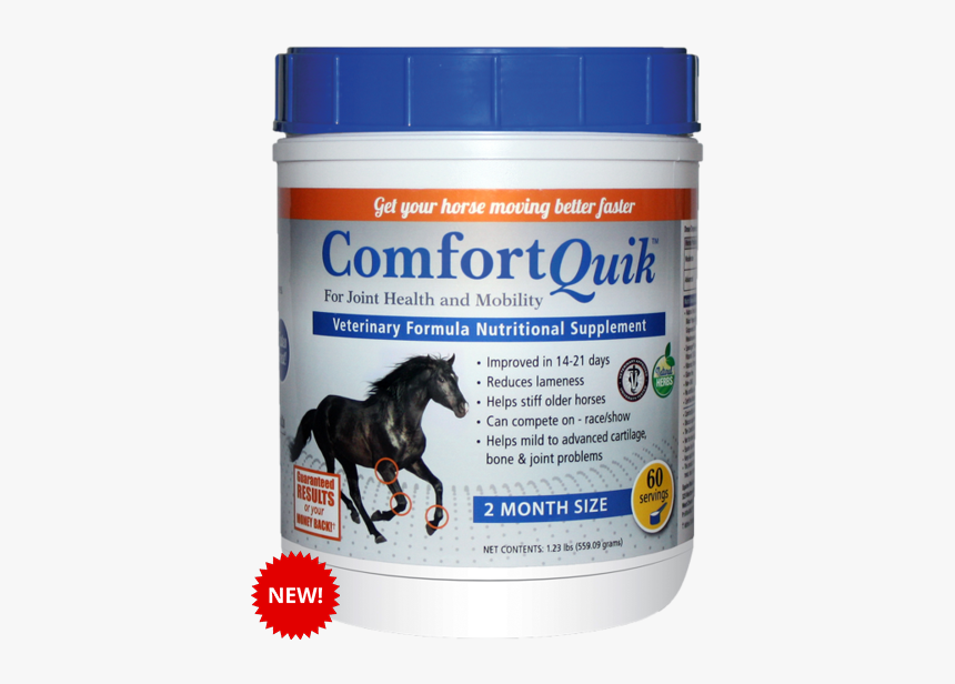 Stallion, HD Png Download