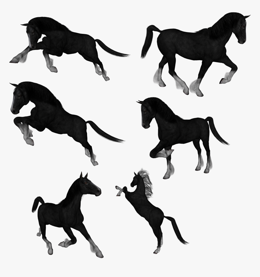 Mustang Drawing Akhal-teke Clip Art - Caballo De El Jinete Sin Cabeza, HD Png Download