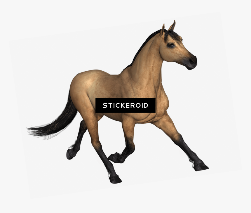 Transparent Running Horse Clipart Hewan Png Png Download