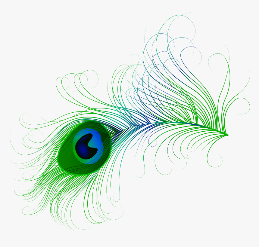 Feather Png Clip Art, Transparent Png