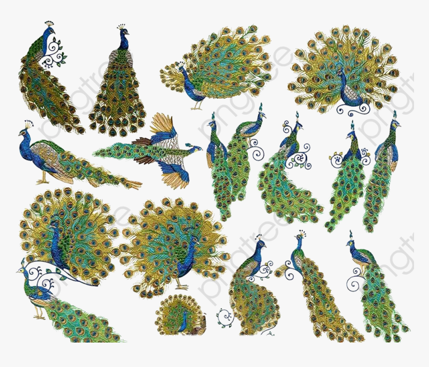 Peacock Design, Peacock Clipart, Peacock Tail, Animal, HD Png Download