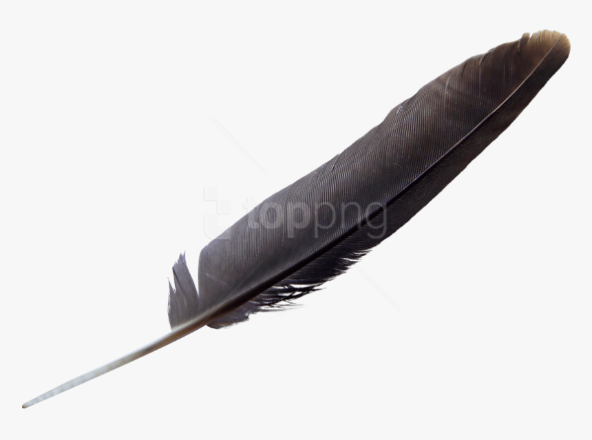 Natural-material - Eagle Feather Black, HD Png Download