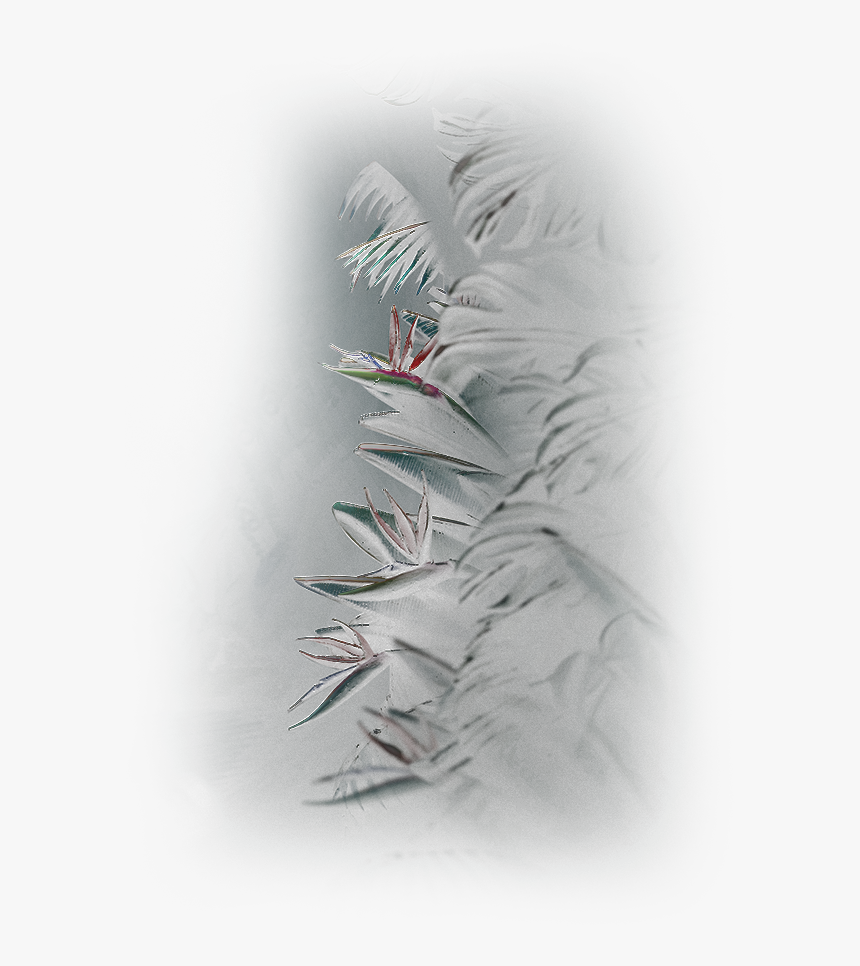 Illustration, HD Png Download