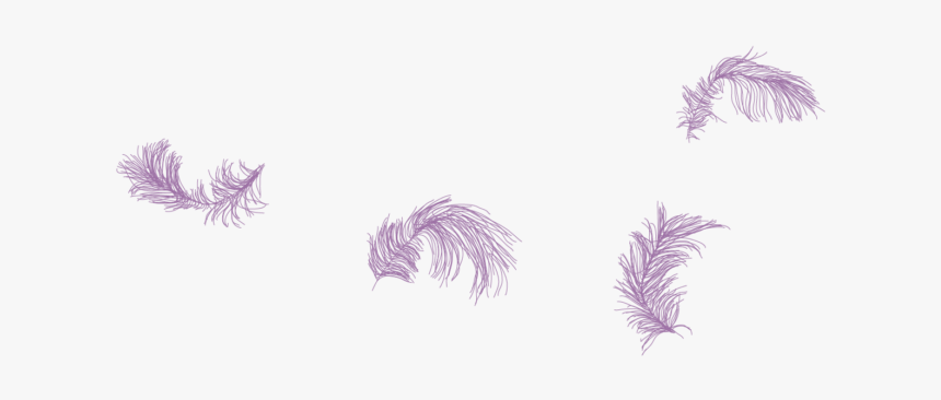 Sketch, HD Png Download