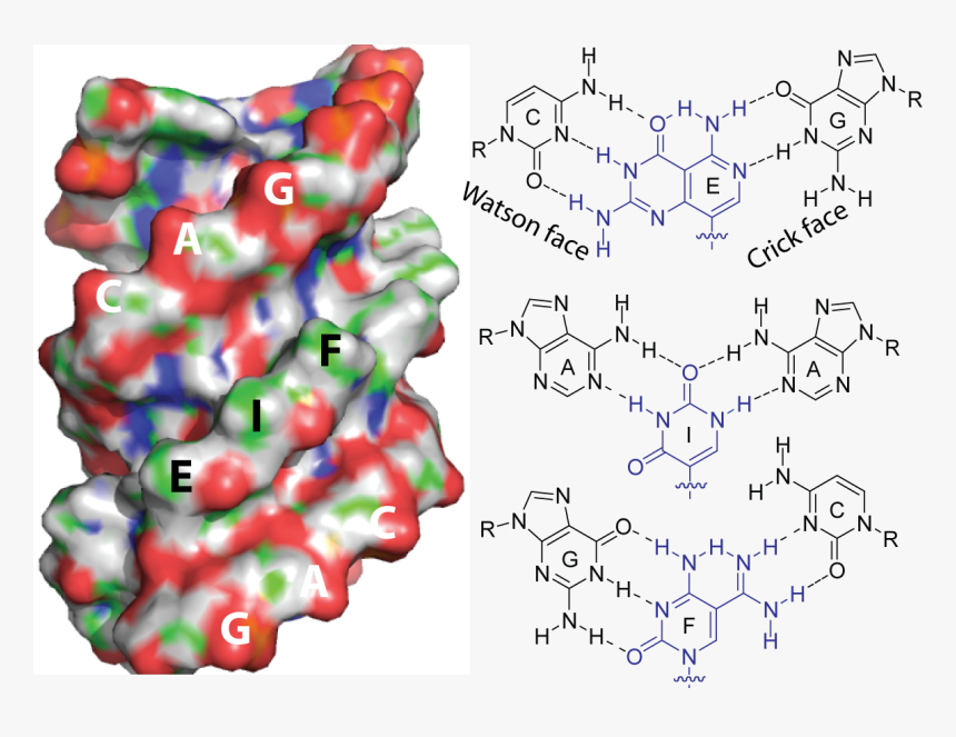 Melamine Cyanuric Acid Complex, HD Png Download
