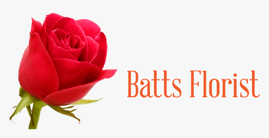 Batts Florist - Floribunda, HD Png Download