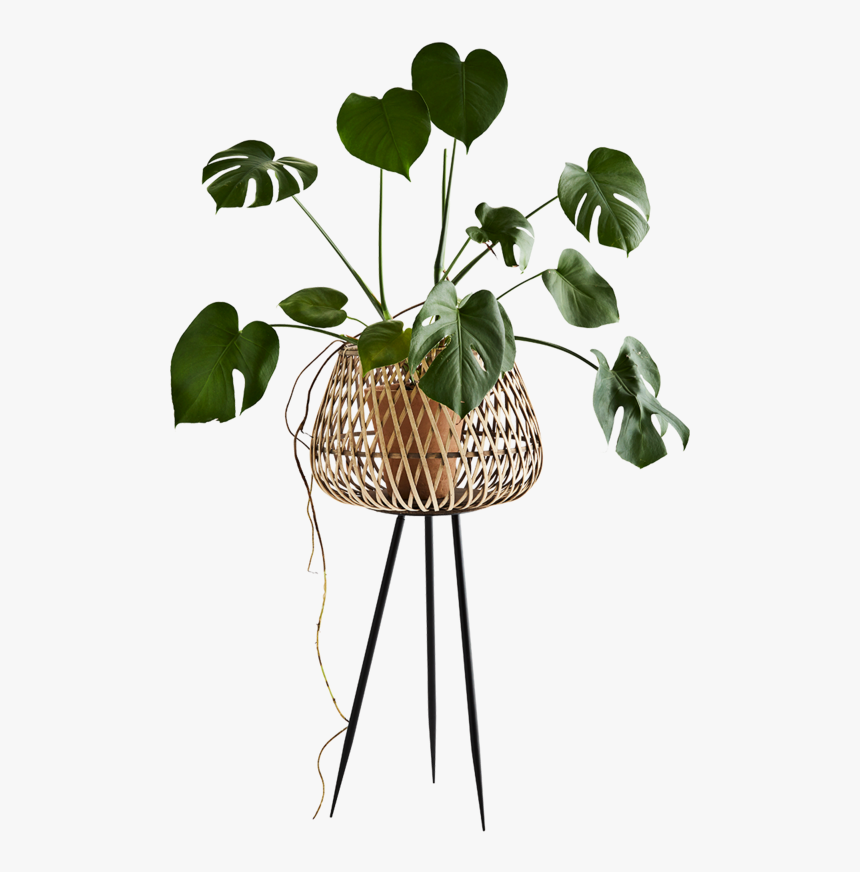 Cache Pot Sur Pied, HD Png Download