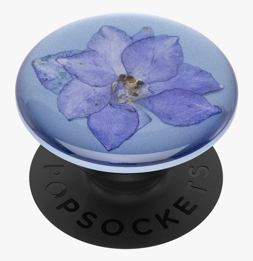 Pop Socket Pressed Flower, HD Png Download