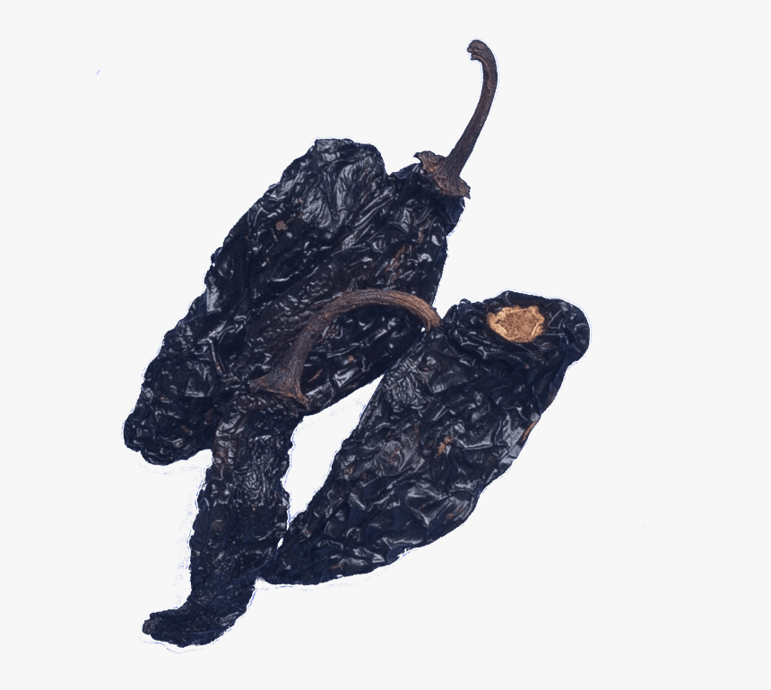 Pasilla, HD Png Download