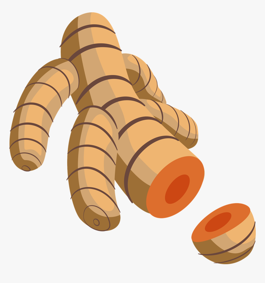 Turmeric, Spice, Root, Seasoning, Healthy, Ingredient - Turmeric Clipart, HD Png Download
