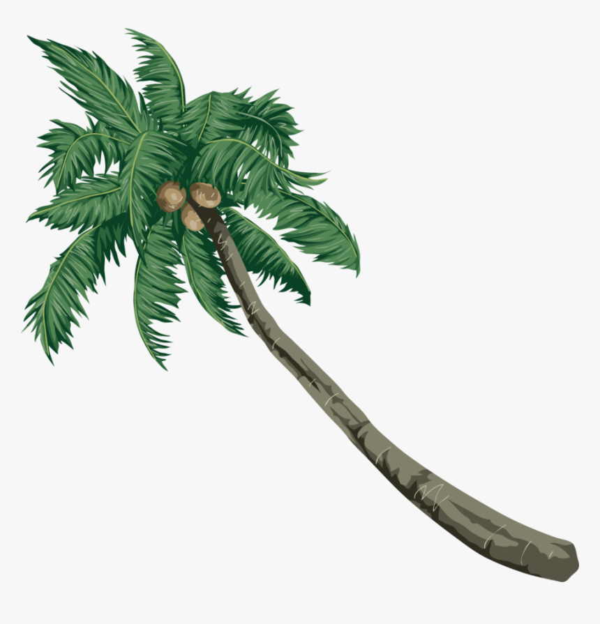 Coconut Clipart Coconut Palm Trees - Sea Beach Vector, HD Png Download