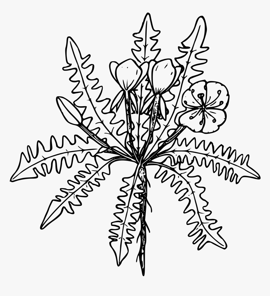 Clip Art, HD Png Download