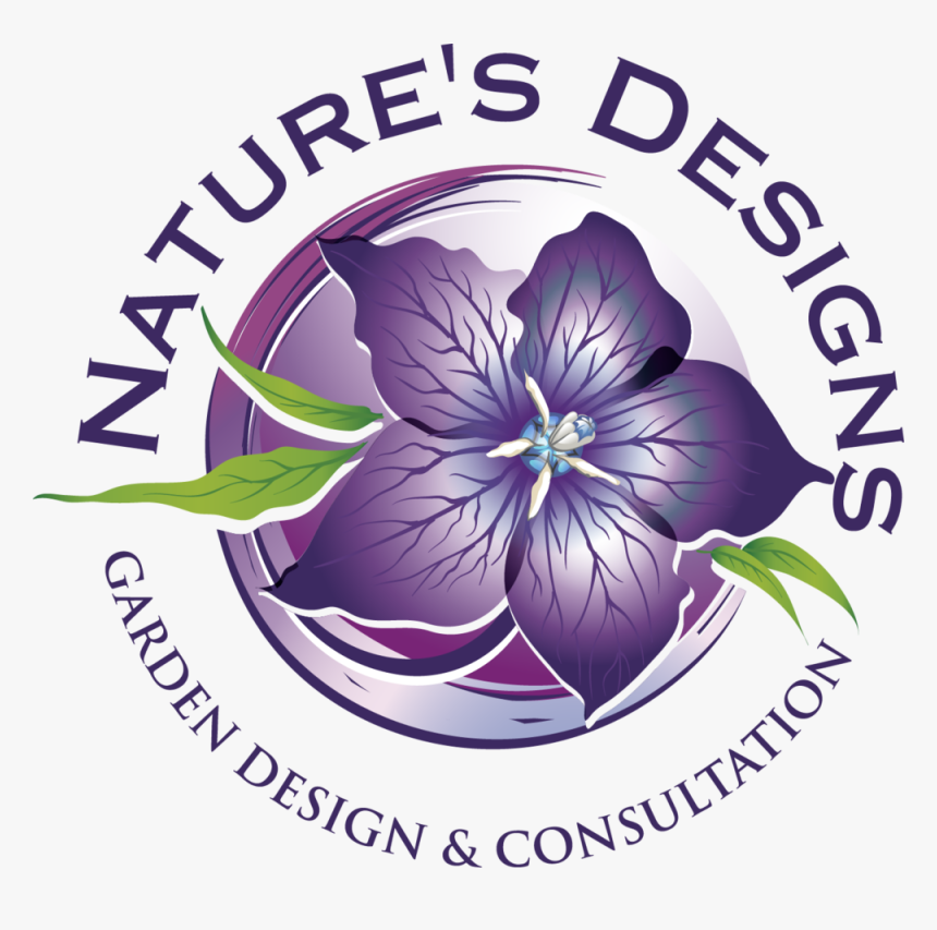 New Background Flowers Design Png, Transparent Png