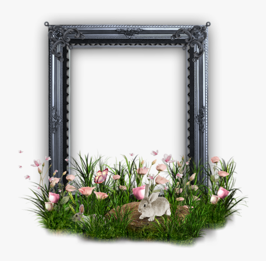 Png Frame Rabbit Picture Free Picture - Bouquet, Transparent Png