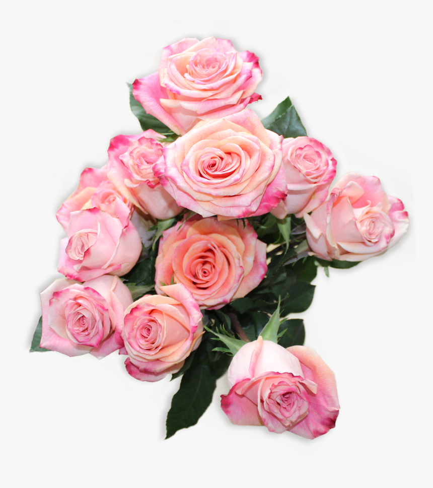 Top View, Flower, Natural, Flowers, Spring, Beauty - Png Natural Flowers, Transparent Png