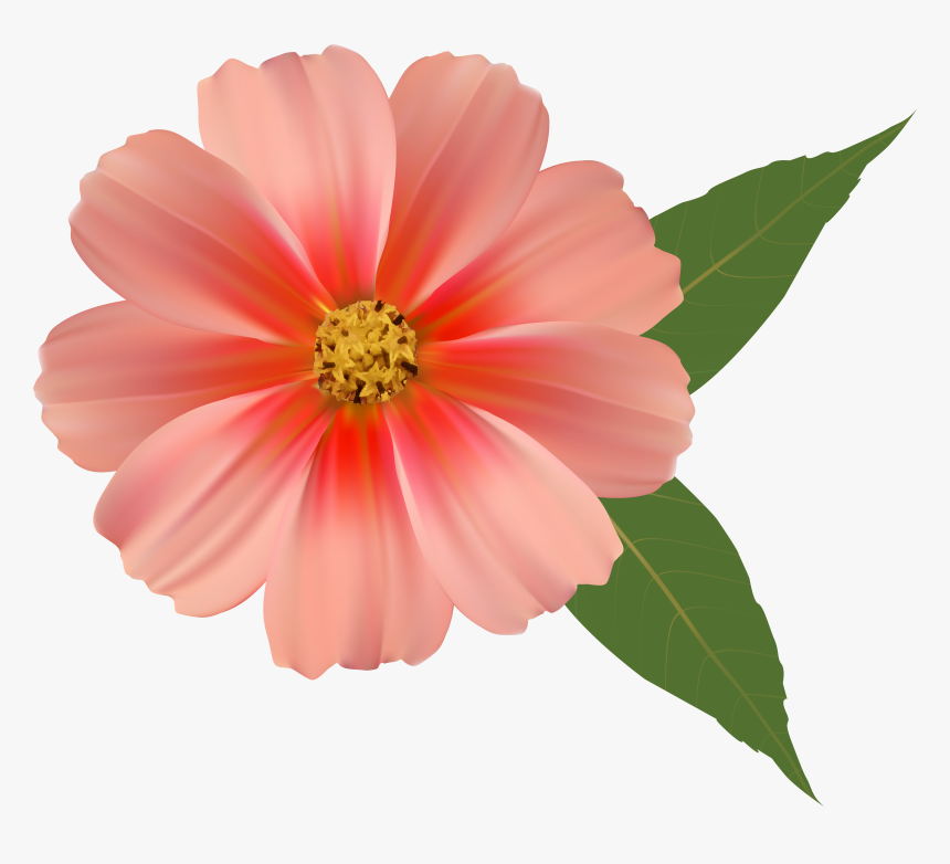 Flowers Png Images - Transparent Background Flower Png, Png Download