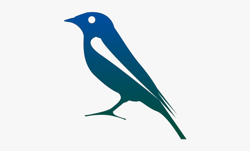 Rainforest Birds Png Transparent Images - Mountain Bluebird, Png Download